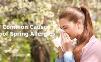 Common Causes of Spring Allergies