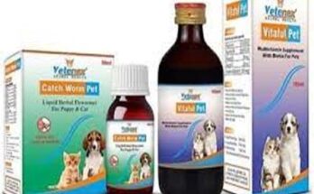 Deworming For Dogs: Most Effective Remedies