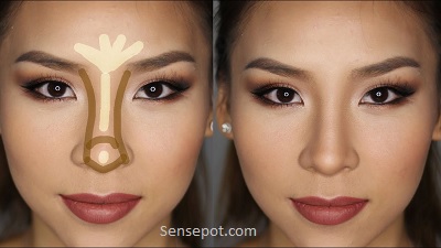 beginner how to contour different nose shapes